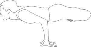 Padma Mayurasana yoga pose 